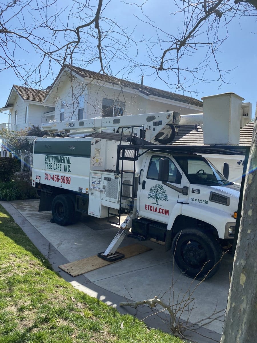 Environmental Tree Care bucket truck and chip body set up on a residential driveway ahead of a tree trimming job